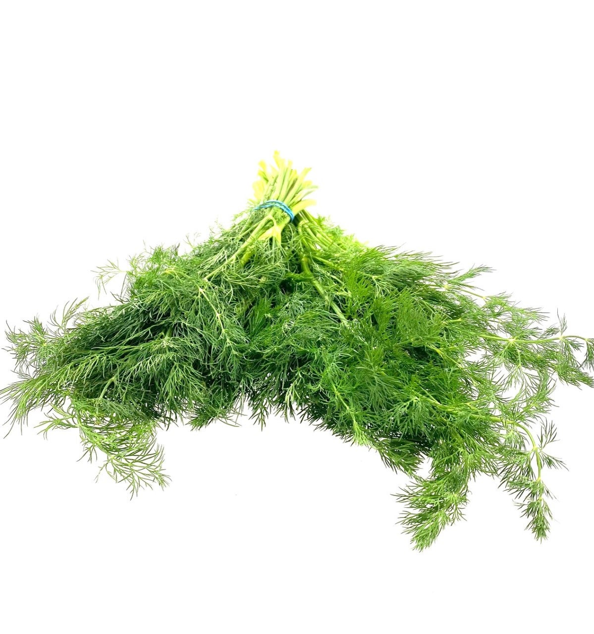 Fresh Dill Global Grocery Market
